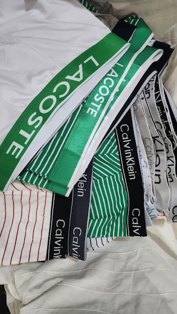 CALVIN KLEIN EN COTON
